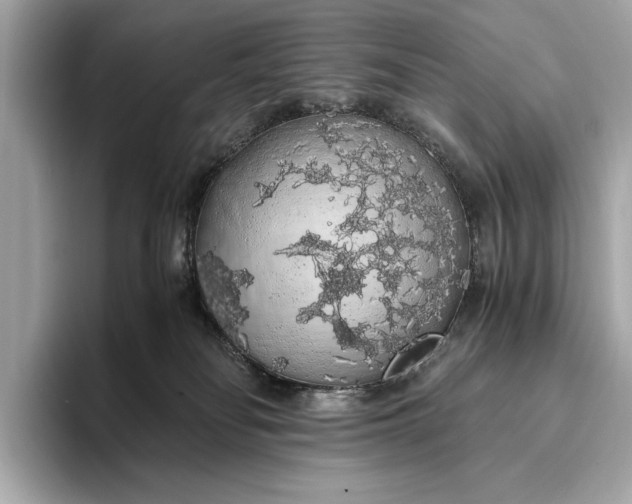 X0000093410134200710260946