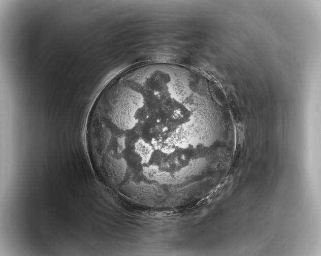 X0000093410147200710260945