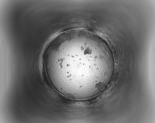 X0000093410149200710260945