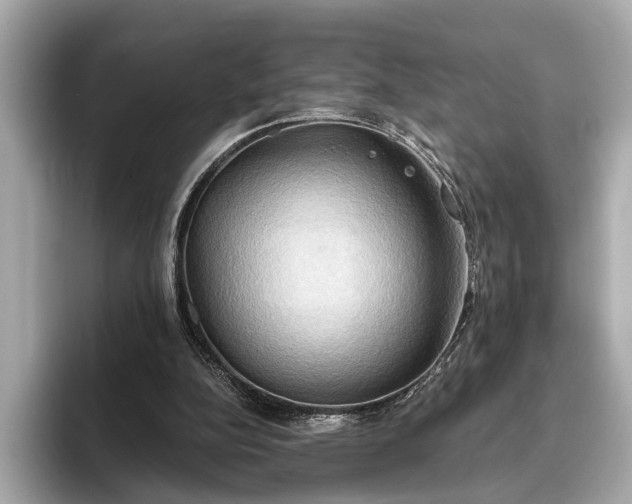 X0000093410152200710260945