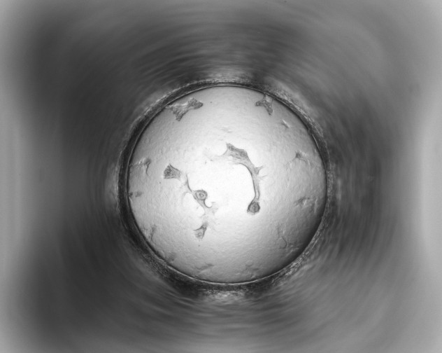 X0000093410155200710260945