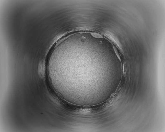 X0000093410156200710260945