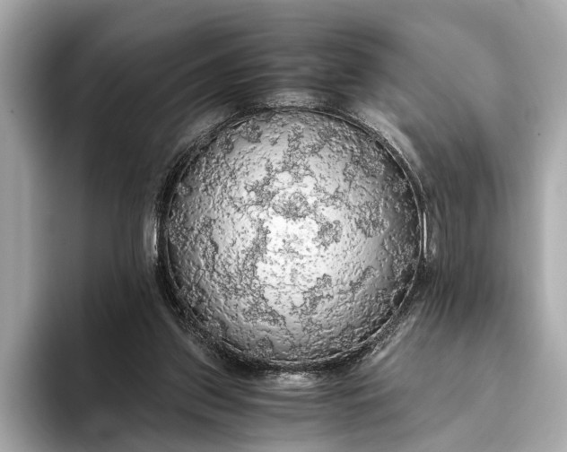 X0000093410157200710260945