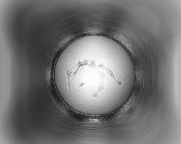 X0000093410159200710260945