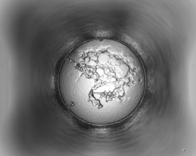 X0000093410161200710260945