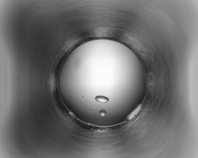 X0000093410164200710260945