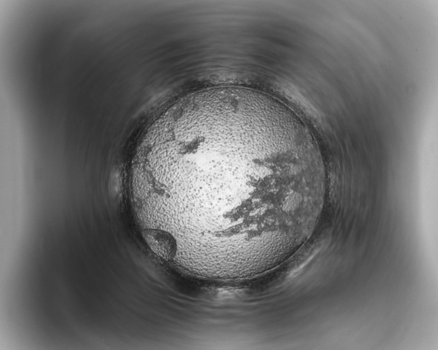 X0000093410165200710260945