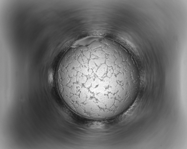 X0000093410166200710260945