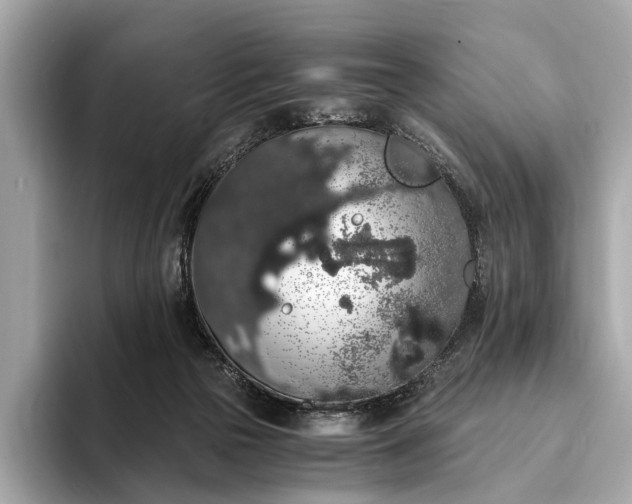 X0000093410169200710260945