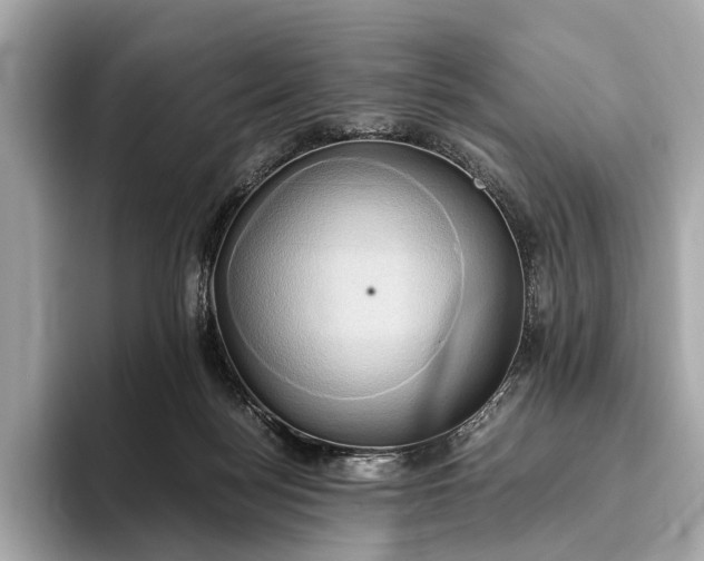 X0000093410172200710260945