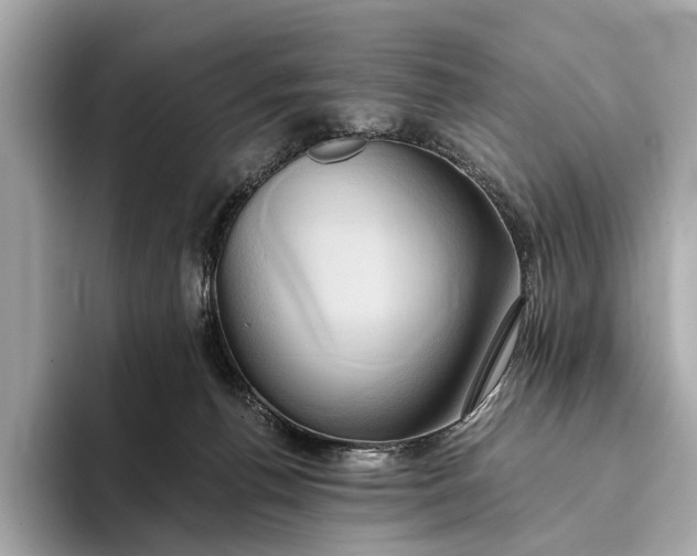 X0000093410176200710260945