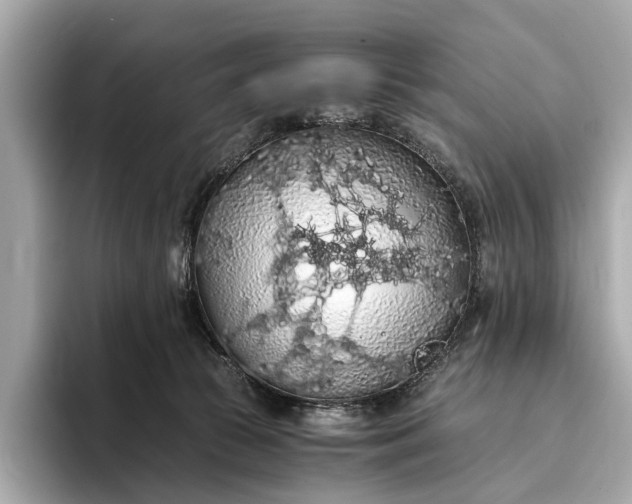 X0000093410177200710260945