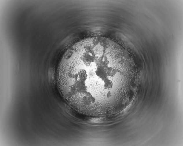 X0000093410178200710260945