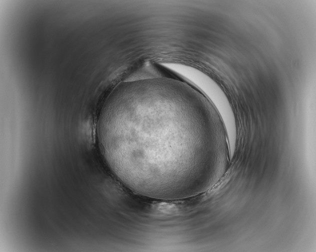 X0000093410180200710260945