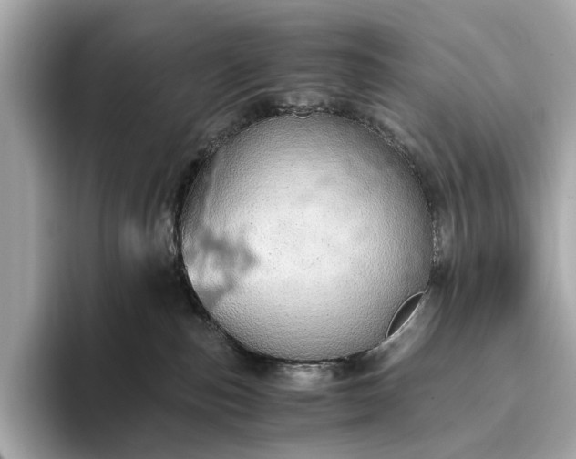 X0000093410187200710260945