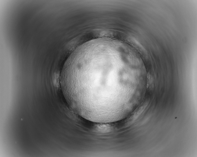 X0000093410189200710260945