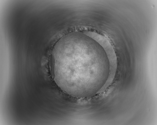 X0000093410192200710260945