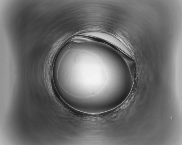 X0000093410193200710260945