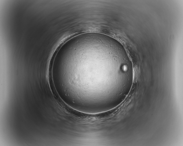 X0000093410195200710260945