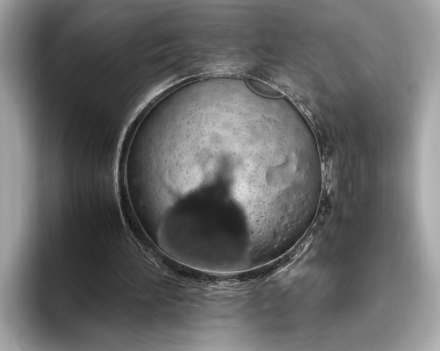 X0000093410196200710260945