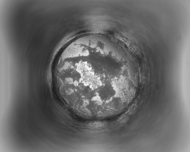 X0000093410198200710260945