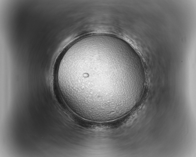 X0000093410199200710260945