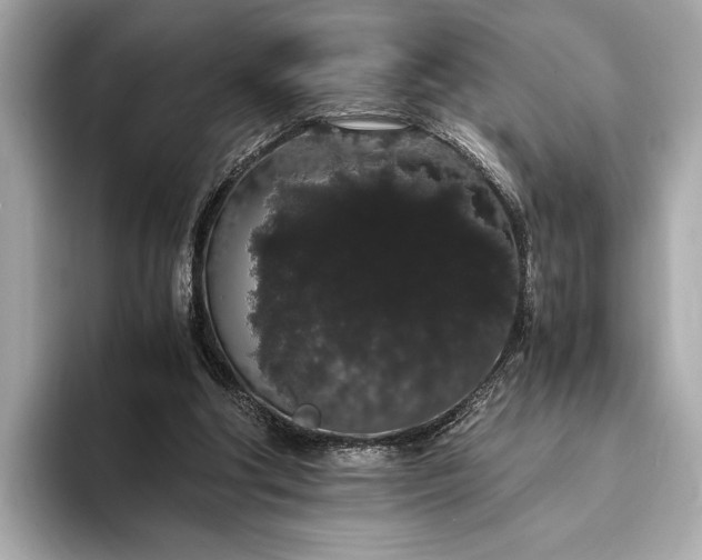 X0000093410202200710260945