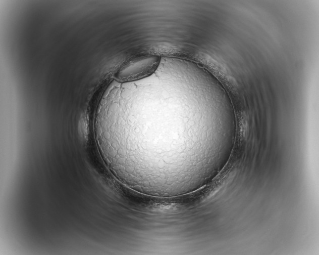 X0000093410206200710260945