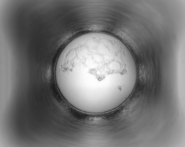 X0000093410208200710260945