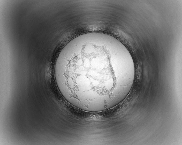 X0000093410210200710260945