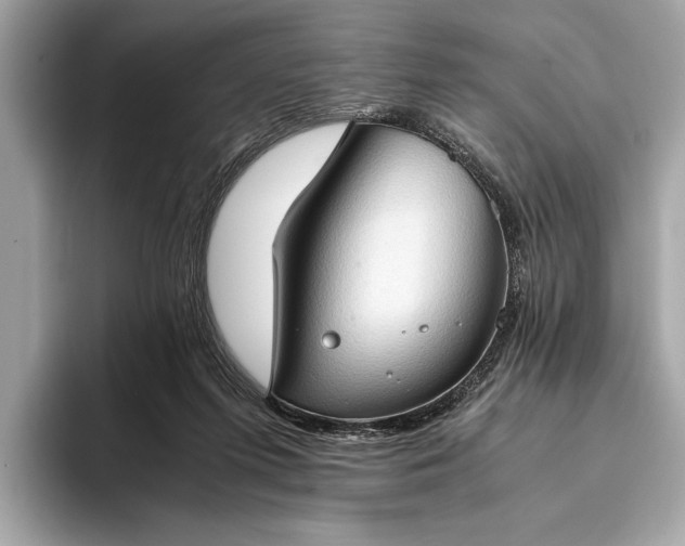 X0000093410215200710260944