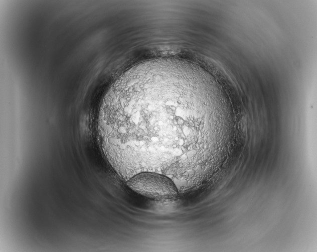 X0000093410218200710260944