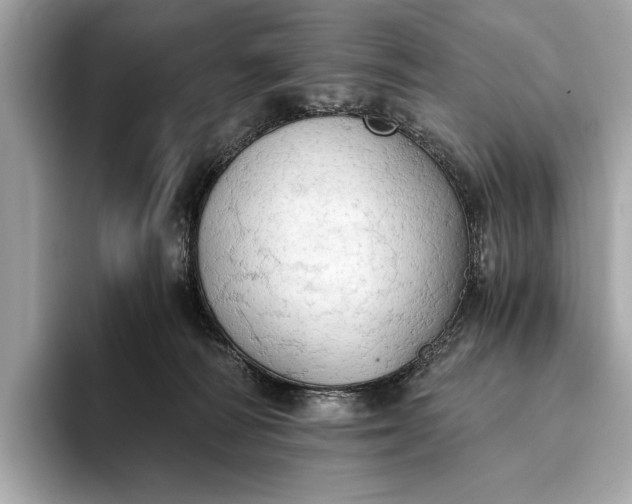 X0000093410226200710260944