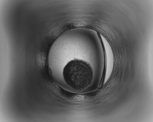 X0000093410227200710260944