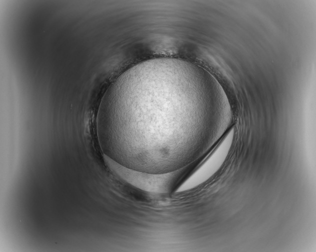 X0000093410229200710260944