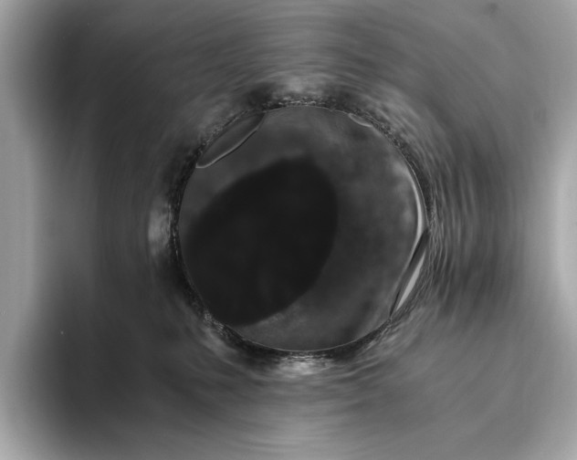 X0000093410231200710260944