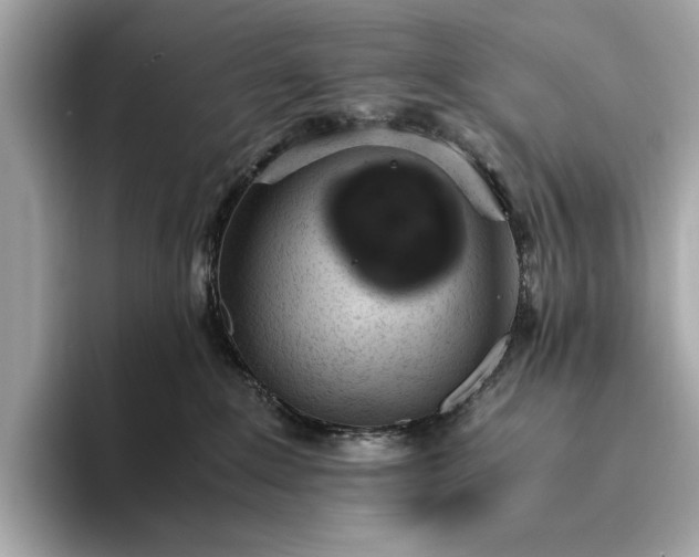 X0000093410235200710260944