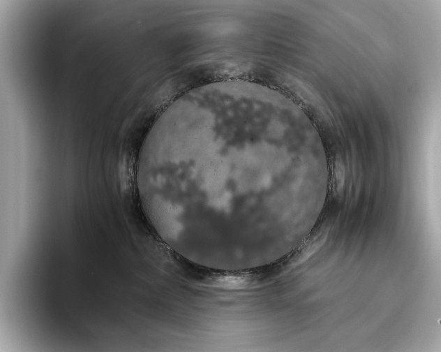 X0000093410236200710260944