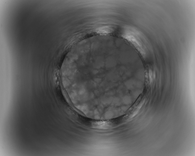 X0000093410237200710260944