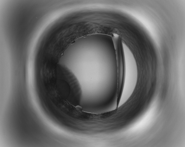 X0000093410239200710260944