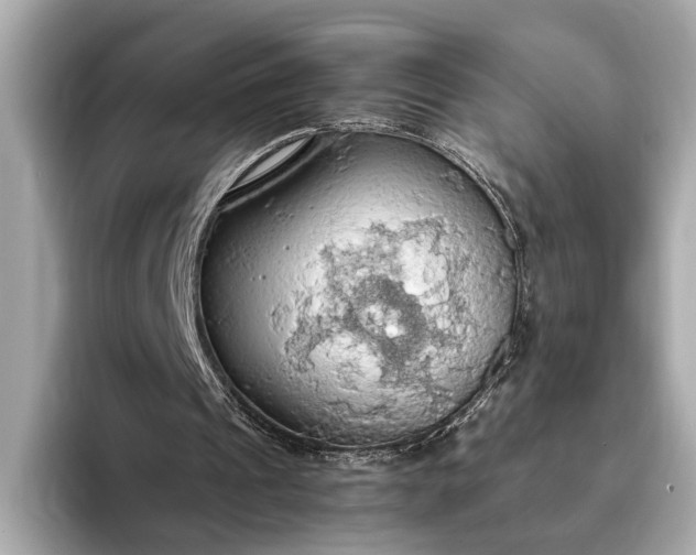 X0000093410241200710260944