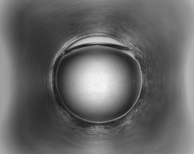 X0000093410244200710260944