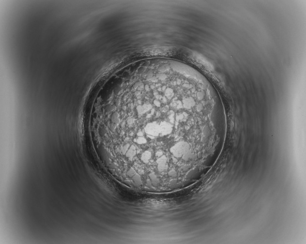 X0000093410250200710260944