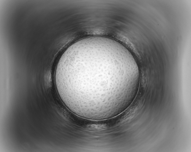 X0000093410251200710260944