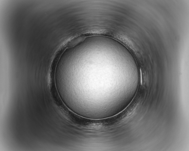 X0000093410252200710260944