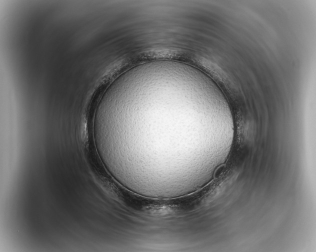 X0000093410254200710260944