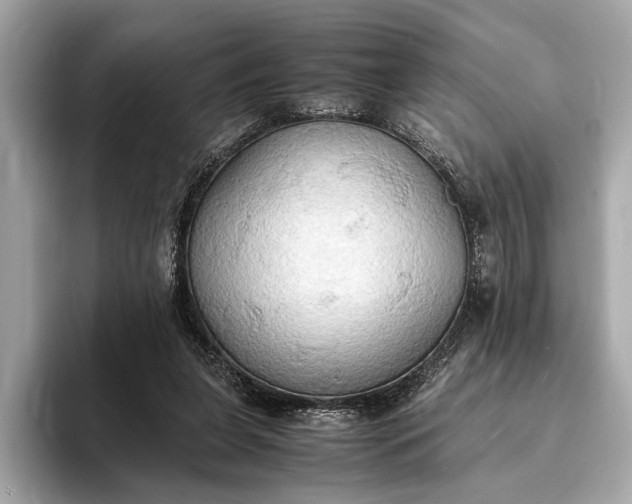 X0000093410255200710260944