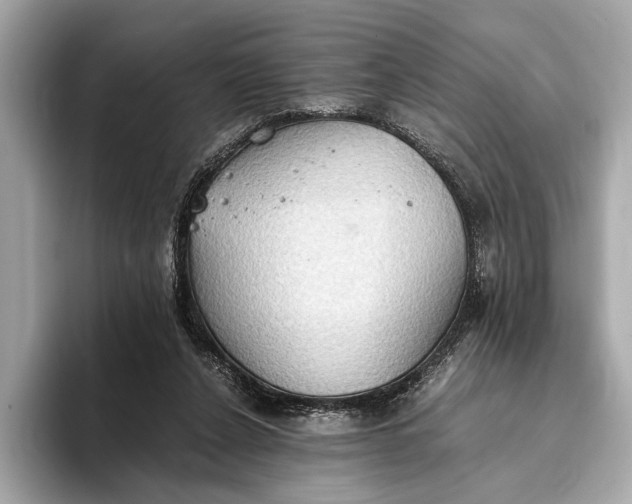 X0000093410256200710260944