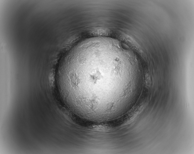 X0000093410259200710260944