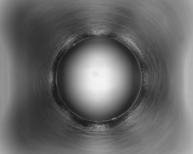 X0000093410260200710260944